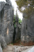 Stoneforest Shiling