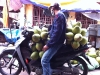Kokosnuss Transport