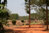 Auroville