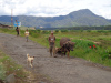Kerinci