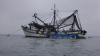 Puerto Lopez