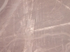 Nazca Linien Papagei
