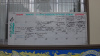 Whaleshark Sighting Board